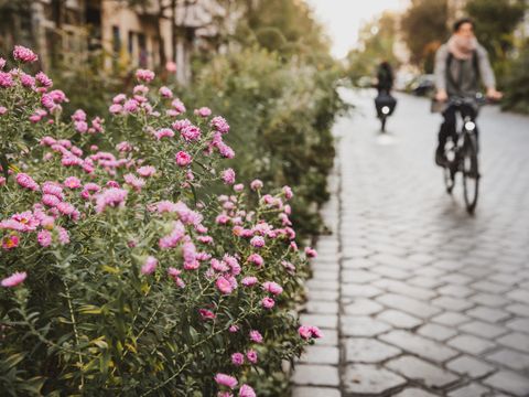 Friedrichshain-Kreuzberg