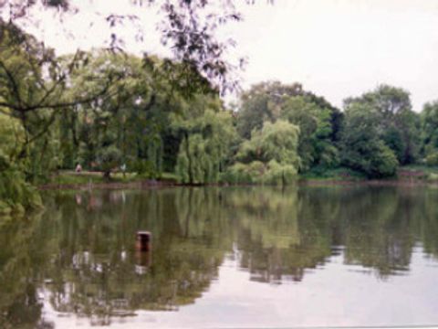 Schäfersee Reinickendorf