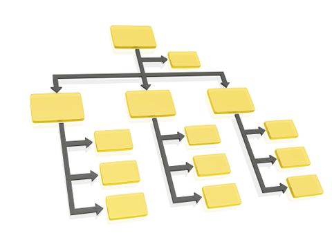 Organigramm