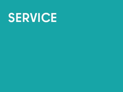 Grafik einarbig mit Schrift: Service