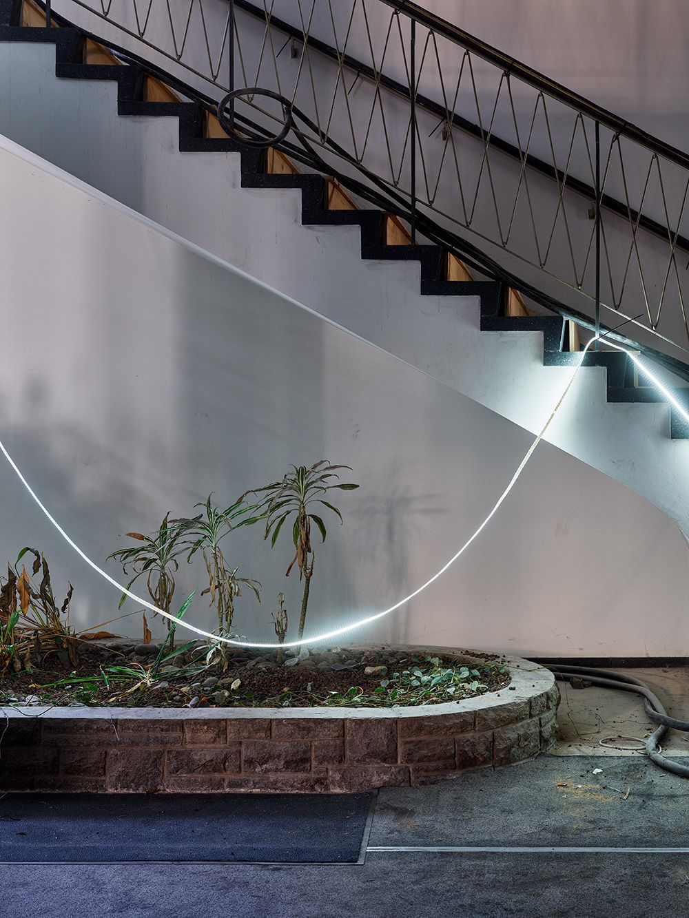 Bepflanzung im Foyer des Erdgeschosses während der Sanierung, Juli 2021