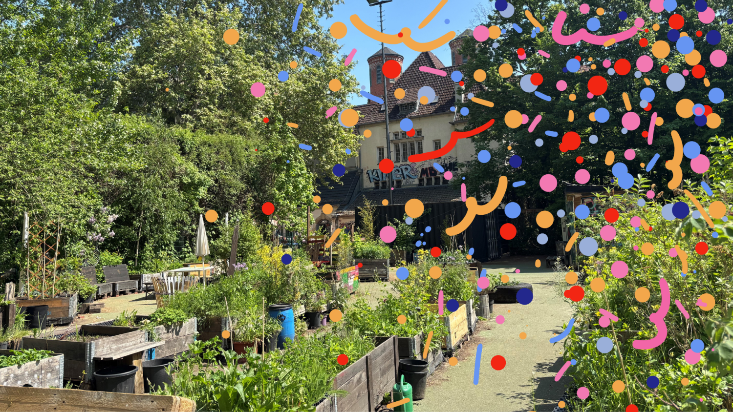 Aufnahme von einem Gemeinschaftsgarten, auf die digitales Konfetti gelegt ist.
