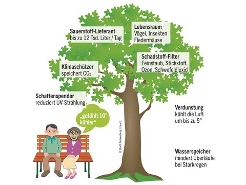 Skizze zur Kühlungswirkung von Bäumen