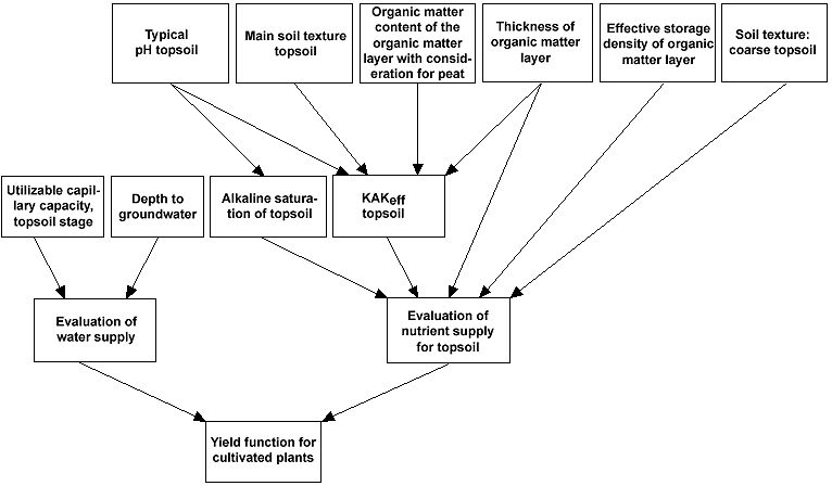 Fig. 1: Diagram for the evaluation of the yield function of cultivated plants
