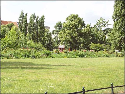 Zentrale Wiese