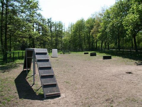 Hundegarten am Seggelluchbecken