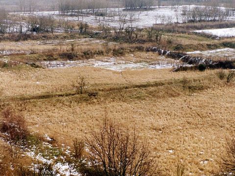 Umwandlung der Landschaft in einen Erholungswald