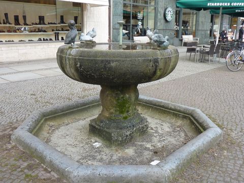 Jungschwanenbrunnen, 10.2.2011, Foto: KHMM