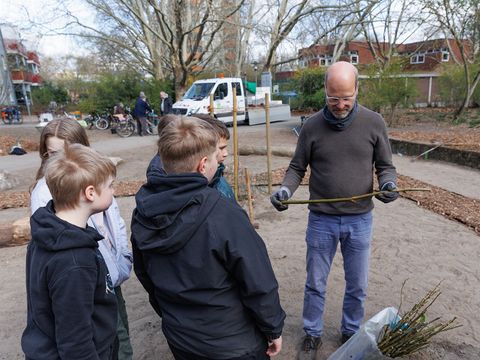 Einpflanzen der Weidenruten