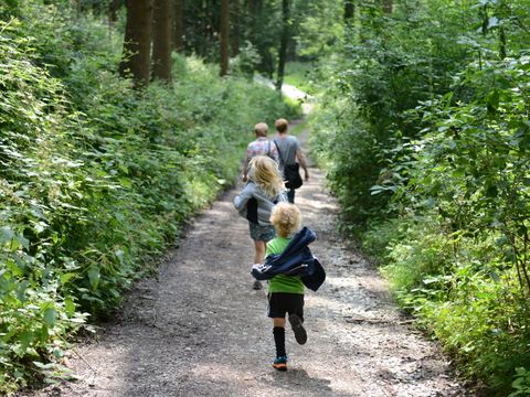 Waldwanderung mit der Familie