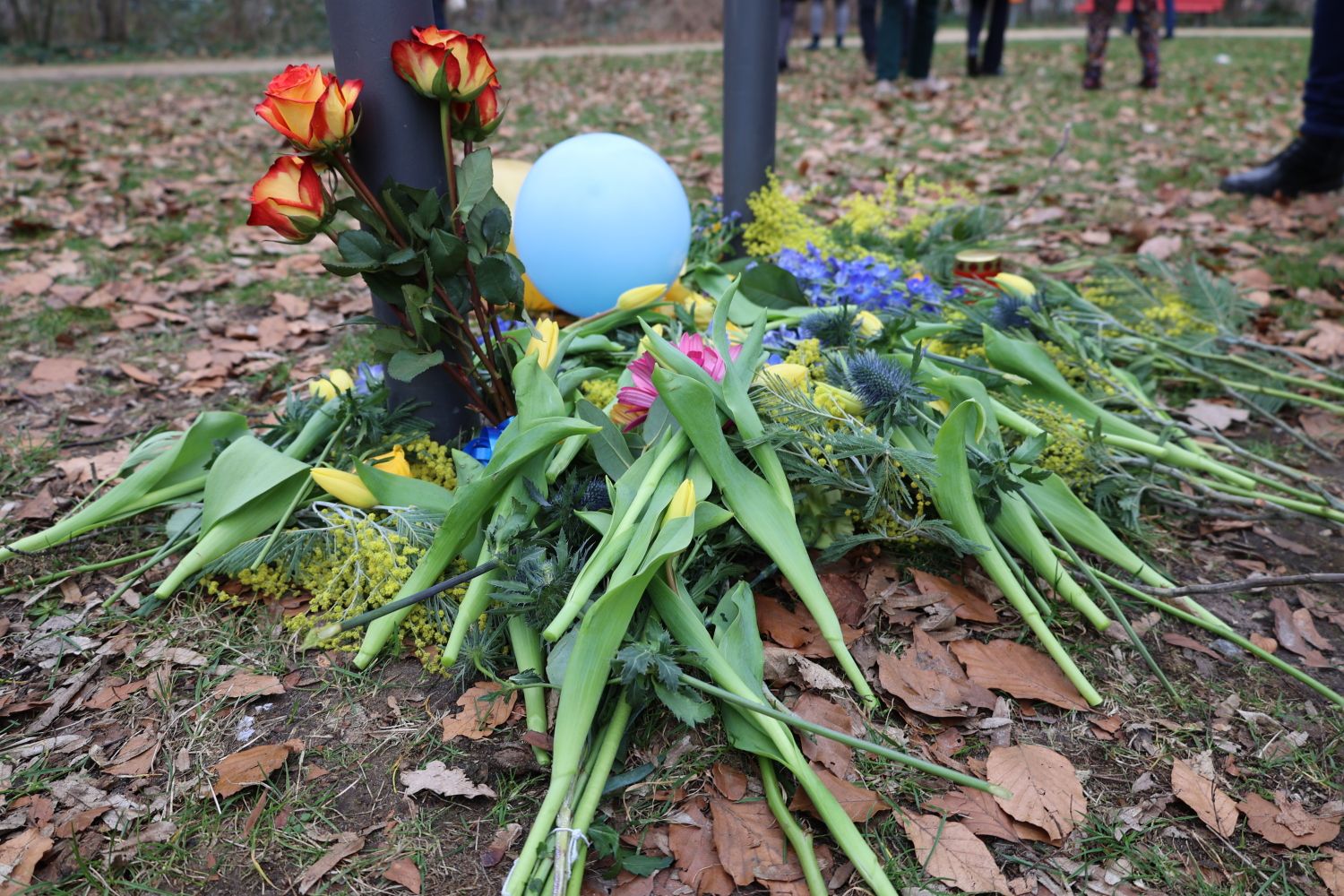 24. Februar 2024: Ein früher Frühlingsgruß nach Charkiw
