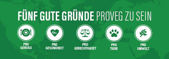 Banner mit Icons die für 5 gut Gründe proveg zu sein stehen