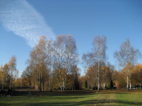 Ansicht Gräber mit Bäumen, Landschaftsfriedhof Gatow