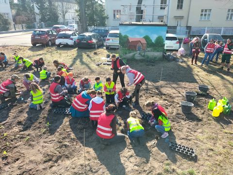 Pflanzaktion-gruppe oben