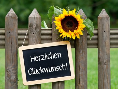 Am Gartenzaum hängt ein Schild mit der Aufschrift" Herzlichen Glückwunsch" und eine Sonnenblume