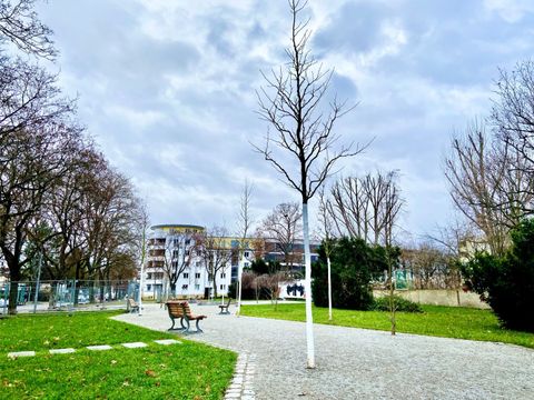 weekly kw 2 - Bäume Newsletter