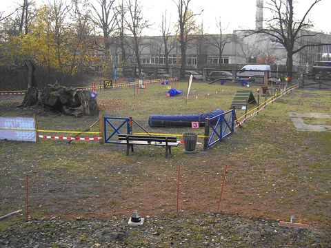 Betreuter Hundegarten Wittenau