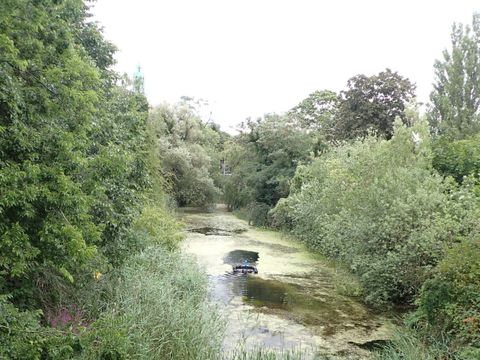 Kynastteich Einsatz Unterhaltungsmassnahme Oloid zur Gewaesserstabilisierung