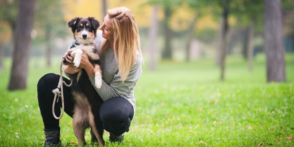 Junge Frau spielt mit einem Austrailien Shepard