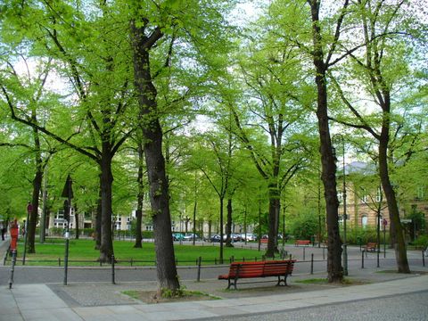 Fasanenplatz 2.5.2006, Foto: KHMM