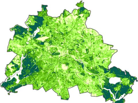 Green Volume