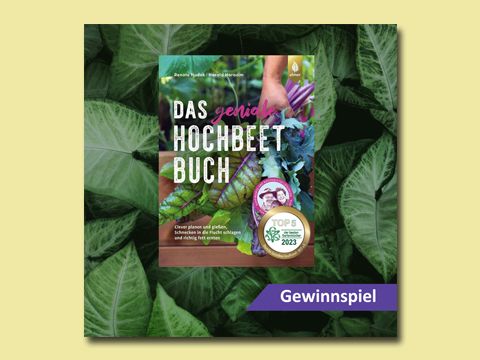 Gewinnspiel auf Social Media