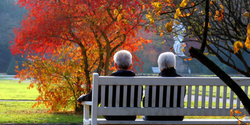 Altes Ehepaar im herbstlichen Park auf einer Bank