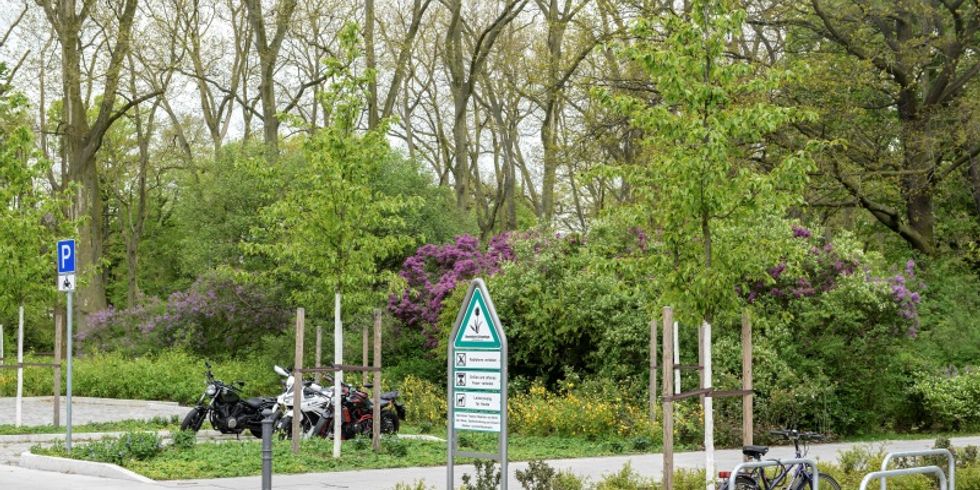Parkplatz am Rosengarten