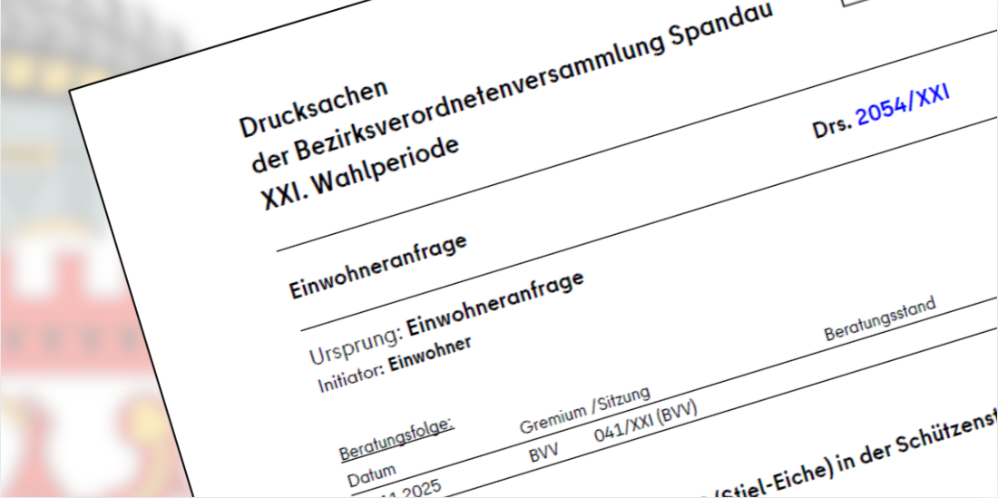 So sah 2025 eine Einwohneranfrage in den BVV-Dokumenten aus