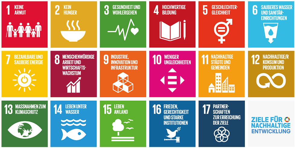 Ziele für nachhaltige Entwicklung