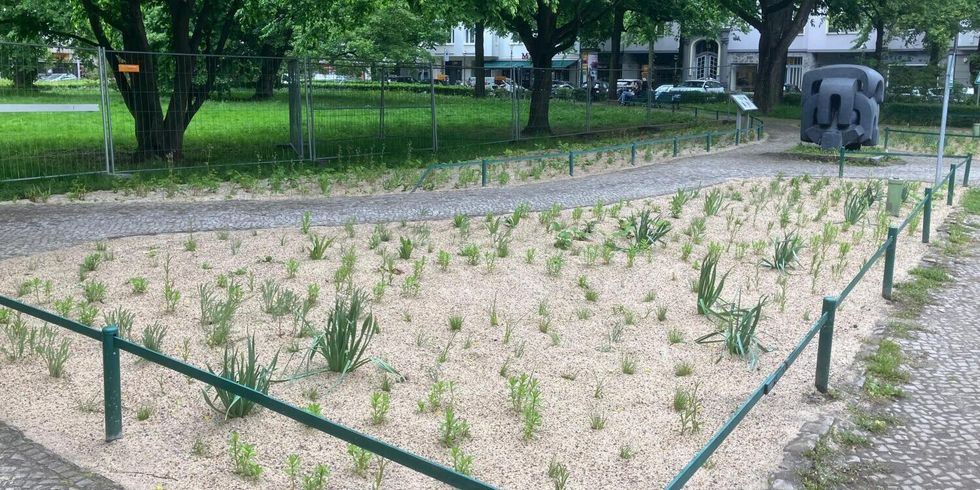 Neugestaltung des Amtsgerichtsplatz