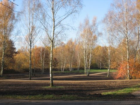Ansicht neuer Islamfelder auf dem Landschaftsfriedhof Gatow