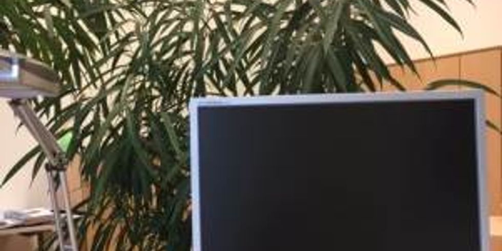 Nawi, disloziertes Arbeiten, Waben