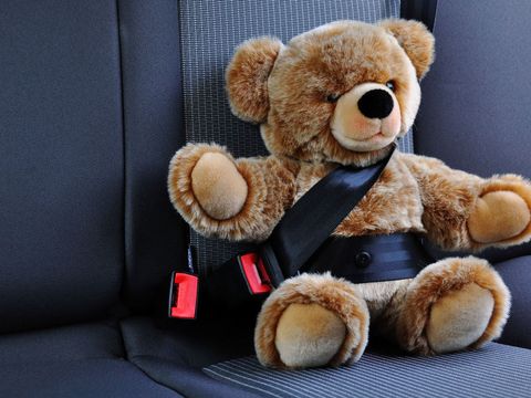 angeschnallter Teddy im Auto