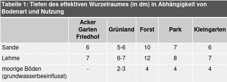 Tabelle 1: Tiefen des effektiven Wurzelraumes (in dm) in Abhängigkeit von Bodenart und Nutzung