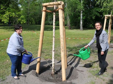 Dagmar Pohle und Nadja Zivkovic gießen einen frischgepflanzten Baum an