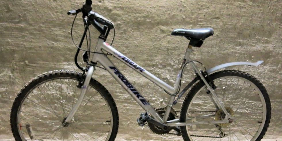 Silbernes Damenfahrrad