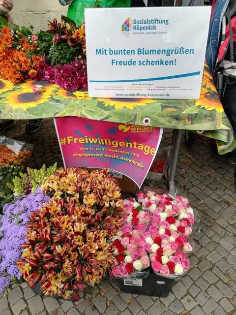 (Bild: BA Treptow-Köpenick)