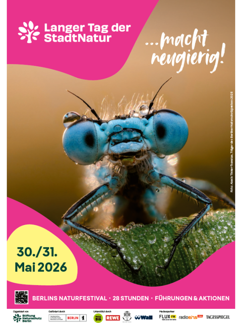 Plakat Langer Tag der Stadtnatur