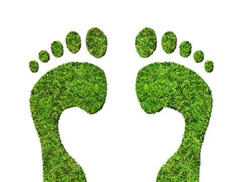 Green footprints