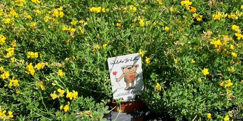 Janosch-Pflanzenstecker