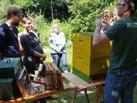 Bienenlehrgarten im Juli 2021 - Bienenbeute