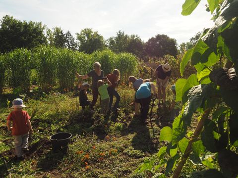 Kleine Kinder und Erwachsene arbeiten zusammen auf einem Feld