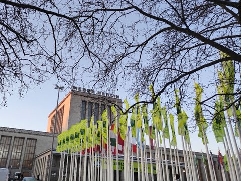 Vor dem Gebäude der Messe Berlin wehen viele Grüne Fahnen