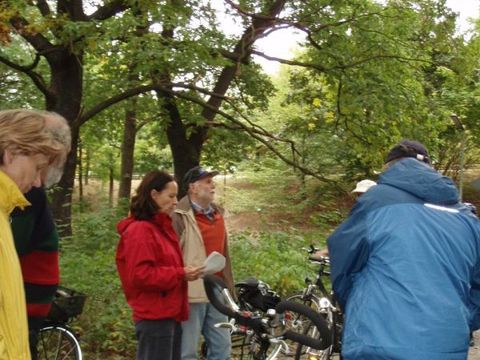 Im Jungfernheidepark (21. 9. 2008)