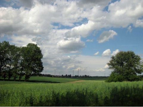 Malchower See