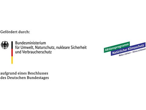 Logokombination: Bundesministerium für Umwelt, Naturschutz, nukleare Sicherheit und Verbraucherschutz in Verbindung mit Aktionsprogramm natürlicher Klimaschutz