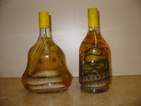 Eingelegte Schlangen