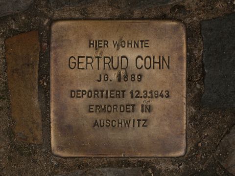 Stolperstein Gertrud Cohn, Foto: A. Bukschat & C. Flegel, 03.06.2012