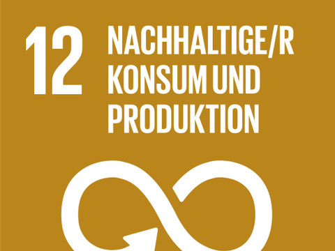 Nachhaltiger Konsum und Produktion